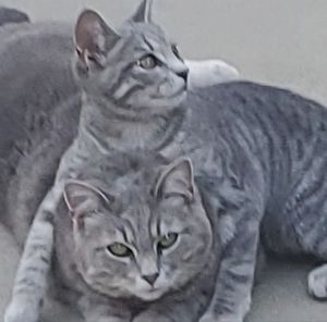 Meet your Posher, Wendy